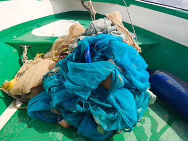 Confisticated mosquito nets used as fishing gear near a breeding site.