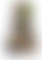 Munch before and after styling