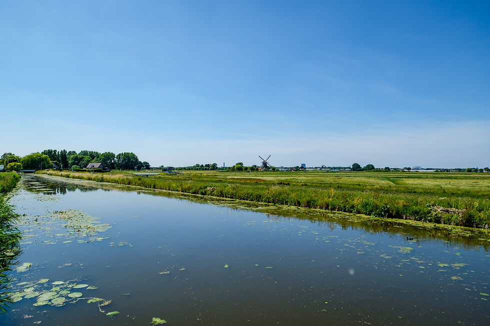 iStock-1351481943.jpg