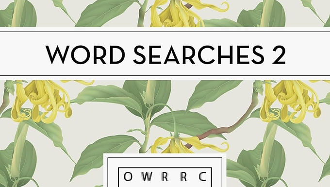 Perfect Pocket Puzzles: Word Searches 2