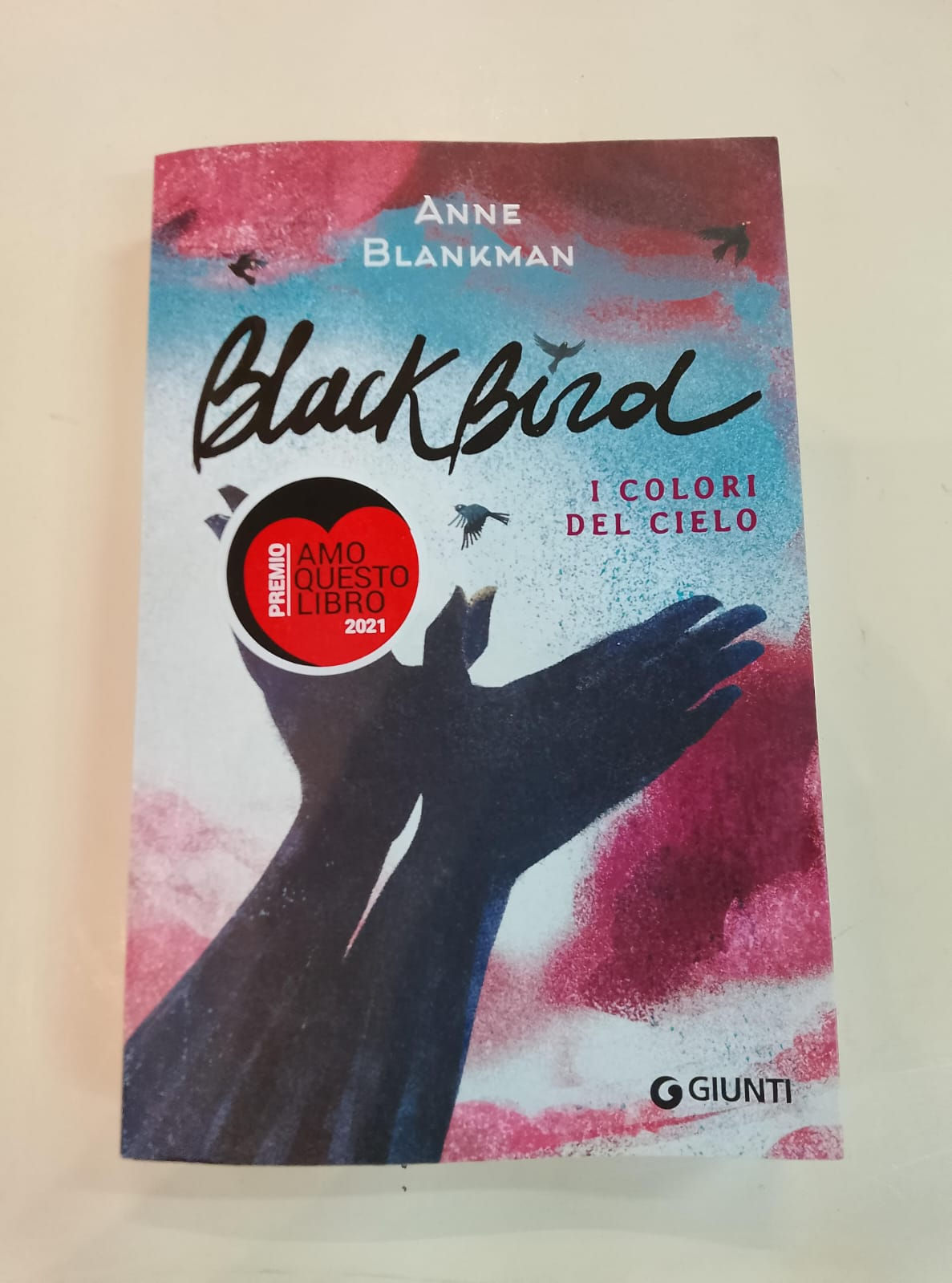 Libro per Ragazzi BLACKBIRD I Colori del Cielo di Anne Blankman