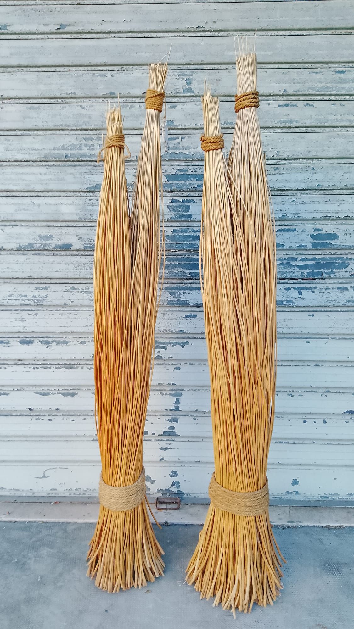 Fascina Decorativa h 180 cm circa