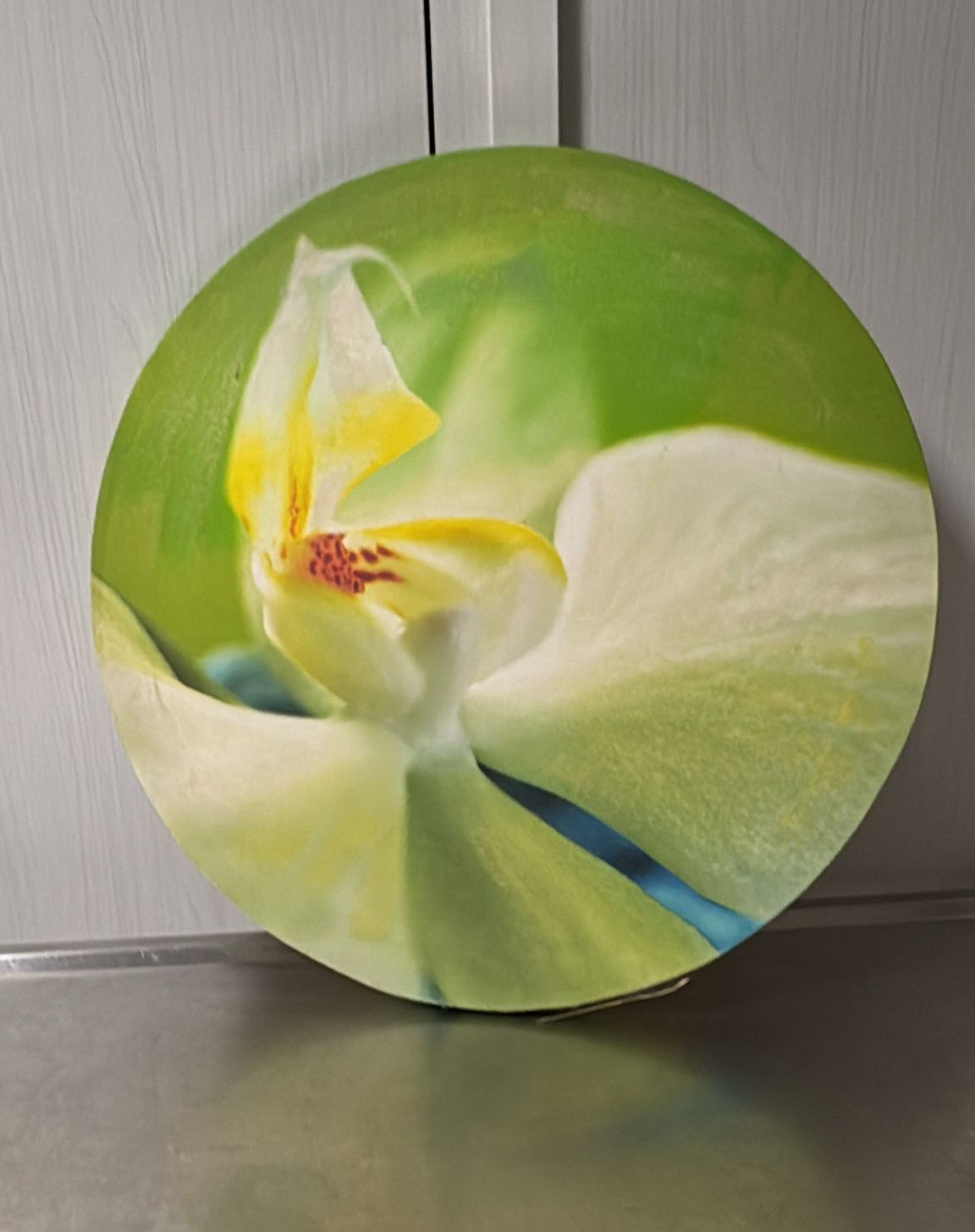 Quadro Tela Rotonda Orchidea Bianca
