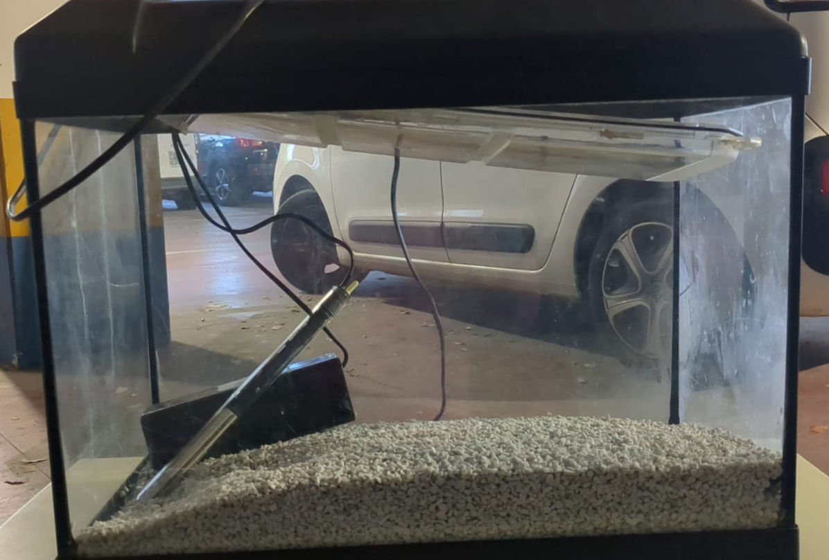 Acquario TENERIFE 55 Litri completo di Pompa, Riscaldatore e Luce