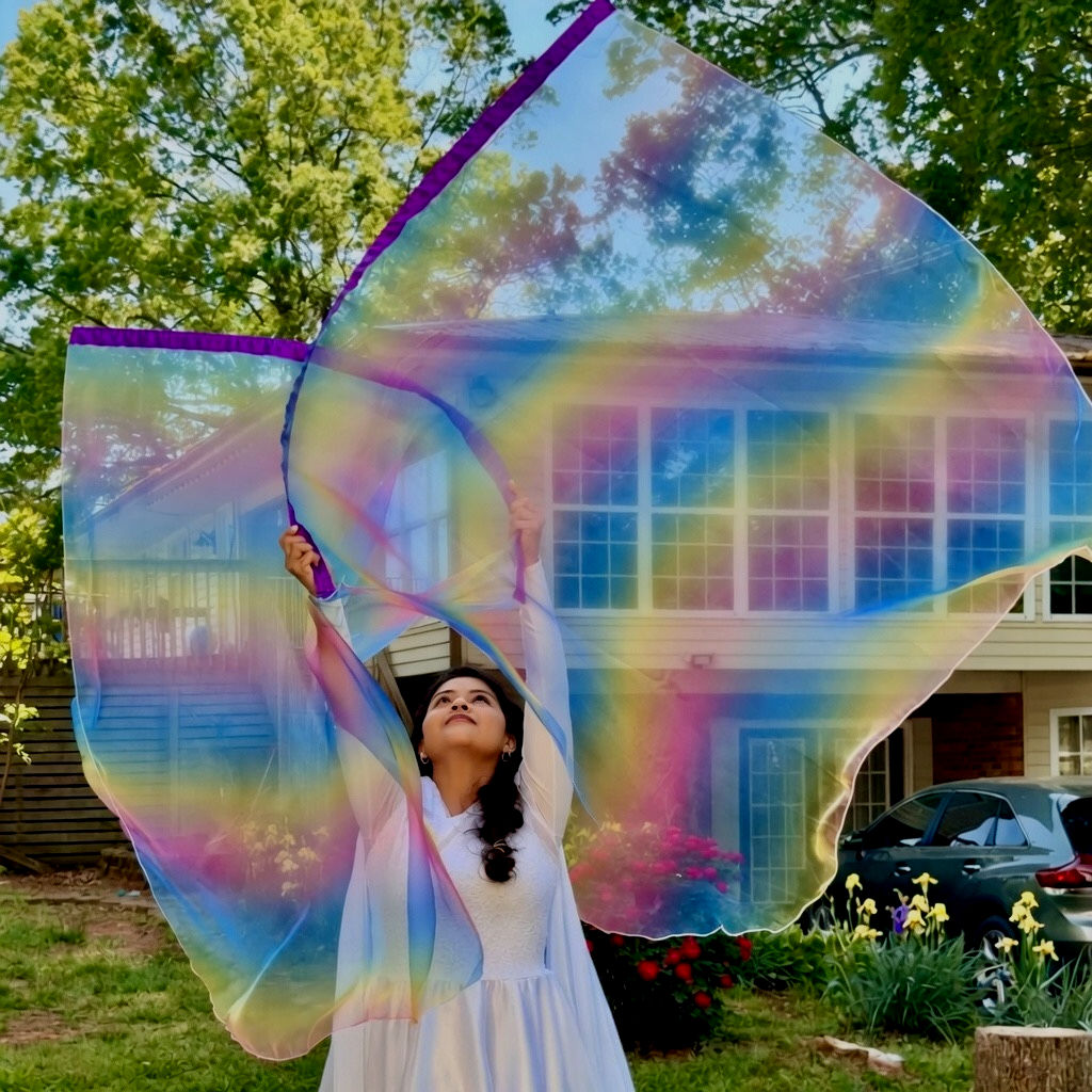 Rainbow Sheer Semicircular Flags