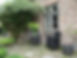 DSC01213.JPG