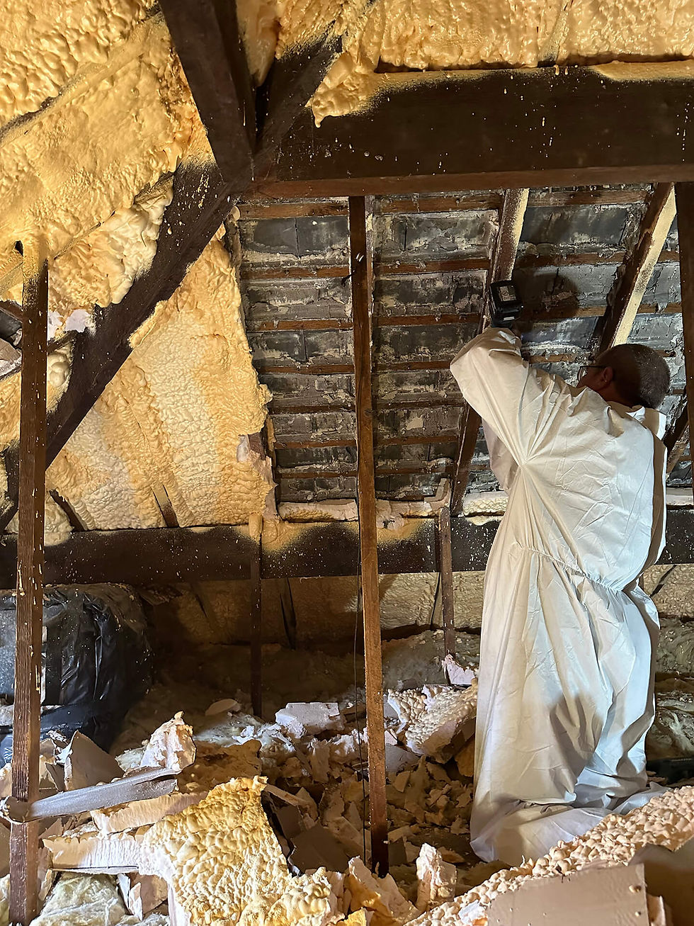 during-option (1).jpg