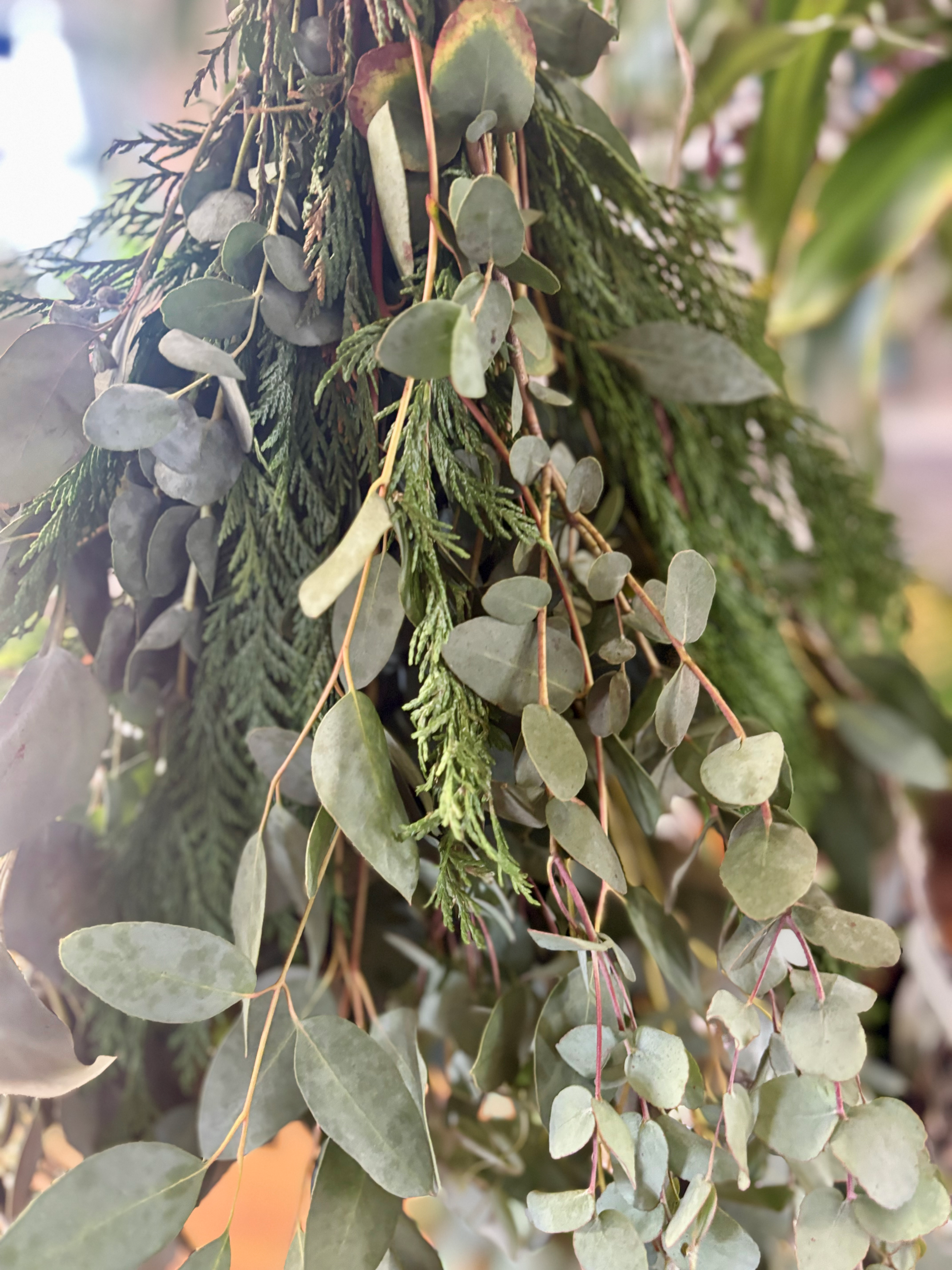 Eucalyptus Shower Bundle - February 1st PICK UP