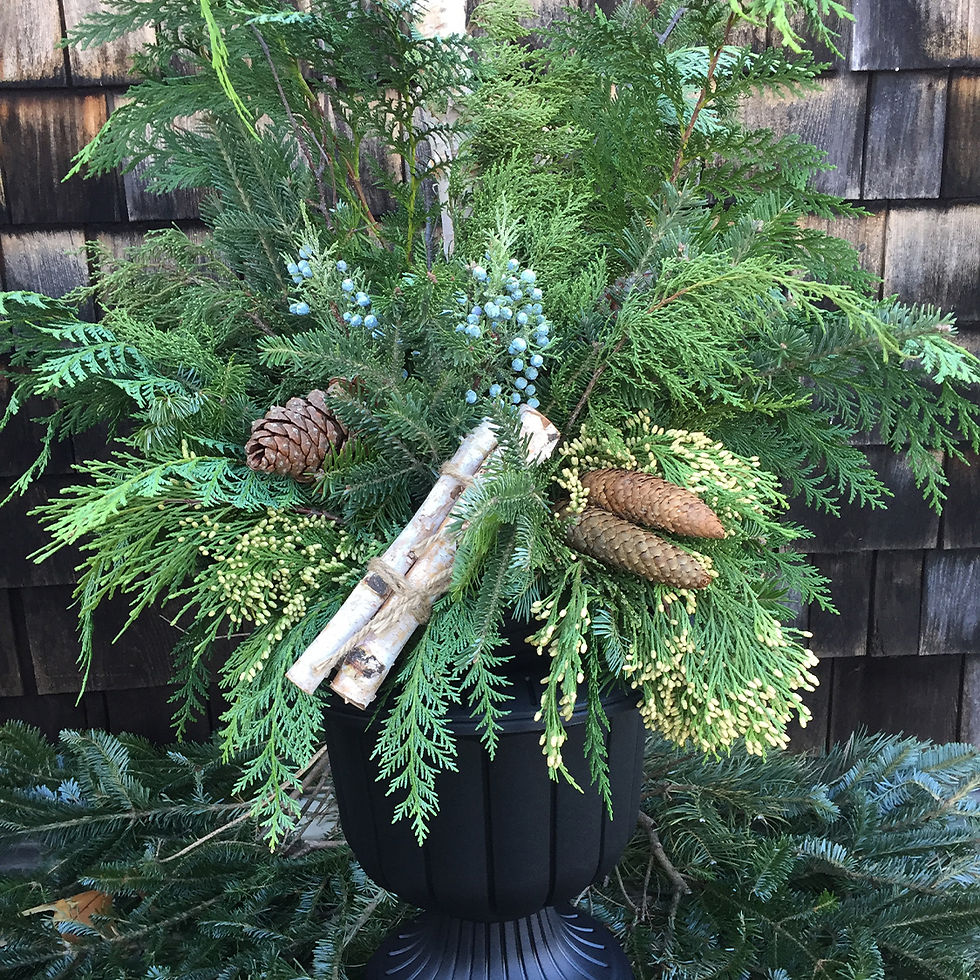 DIY Holiday Porch Pot Workshop 