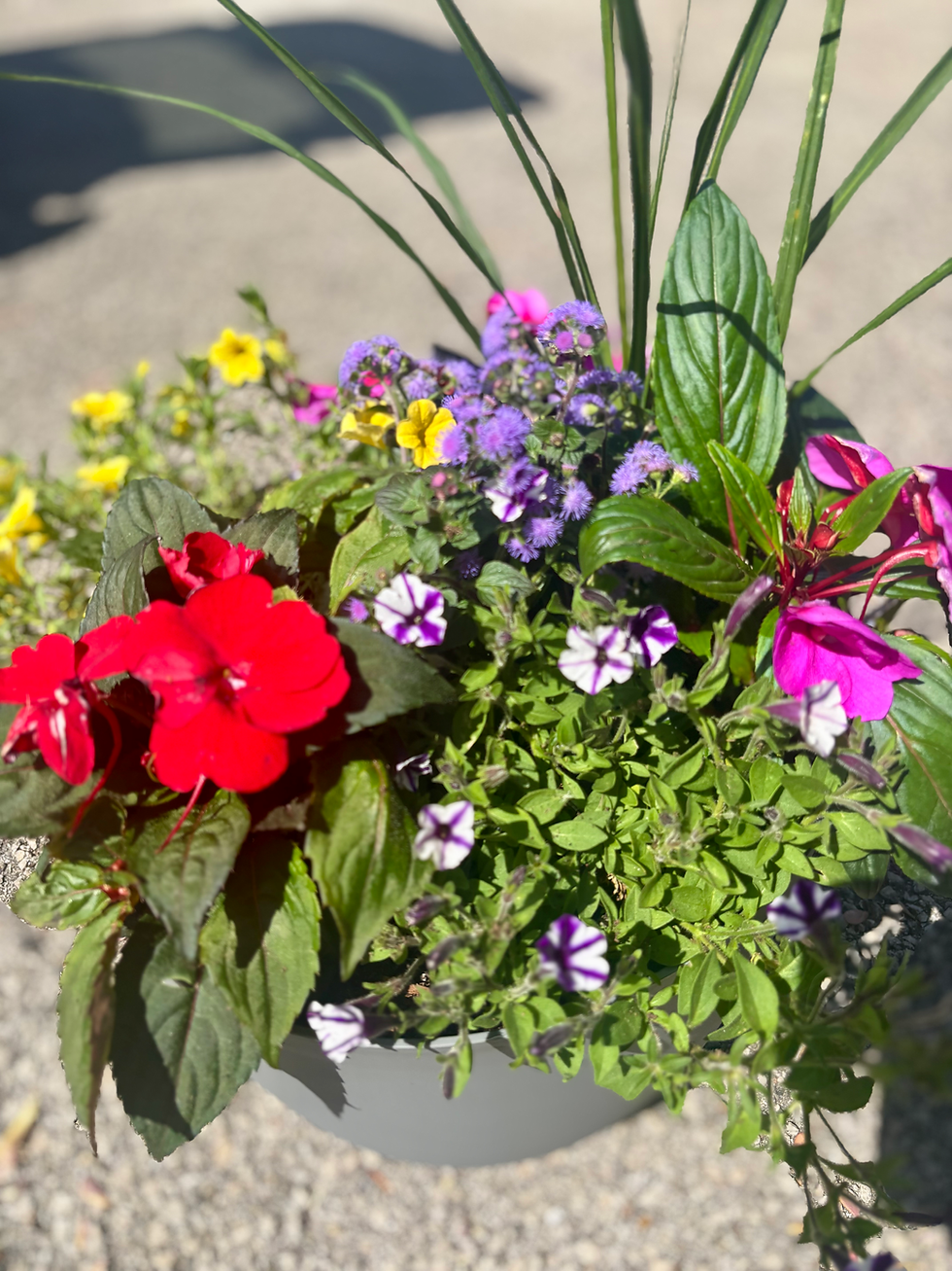 DIY Summer Patio Planter