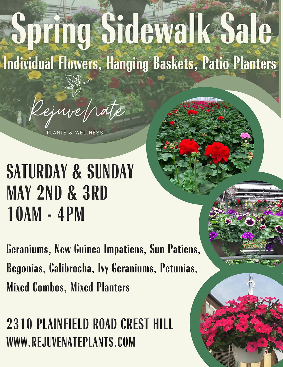 Spring Sidewalk Sale 