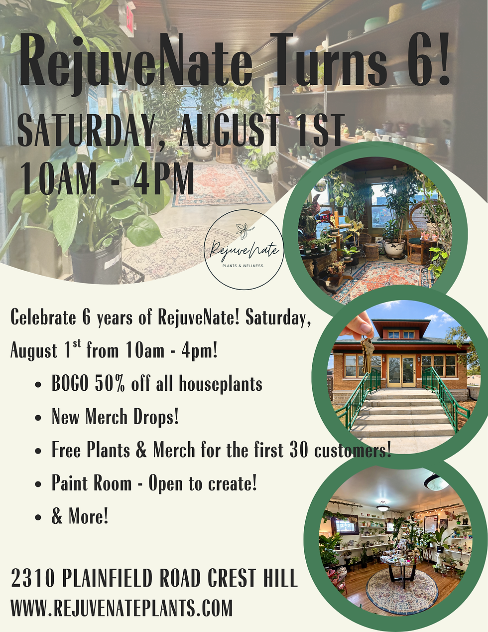 RejuveNate Turns 6!