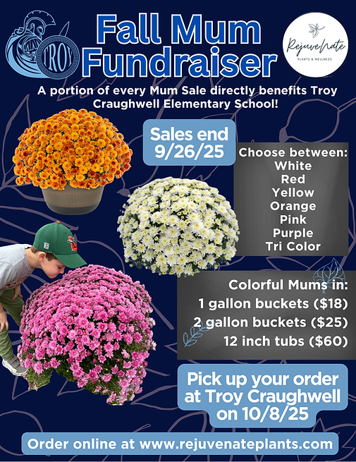 Troy Fall Mum Fundraiser.png