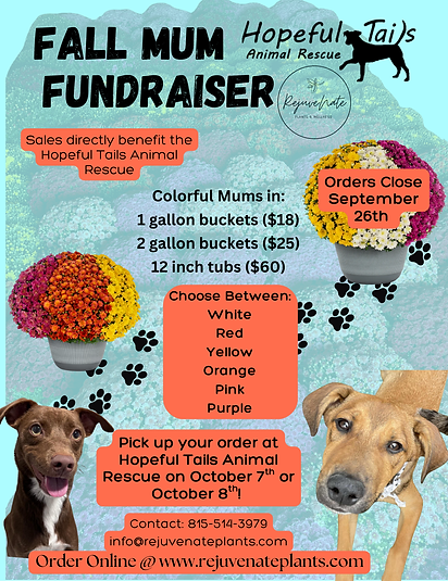 Hopeful Tails Fall 2025 Fundraiser. final.png