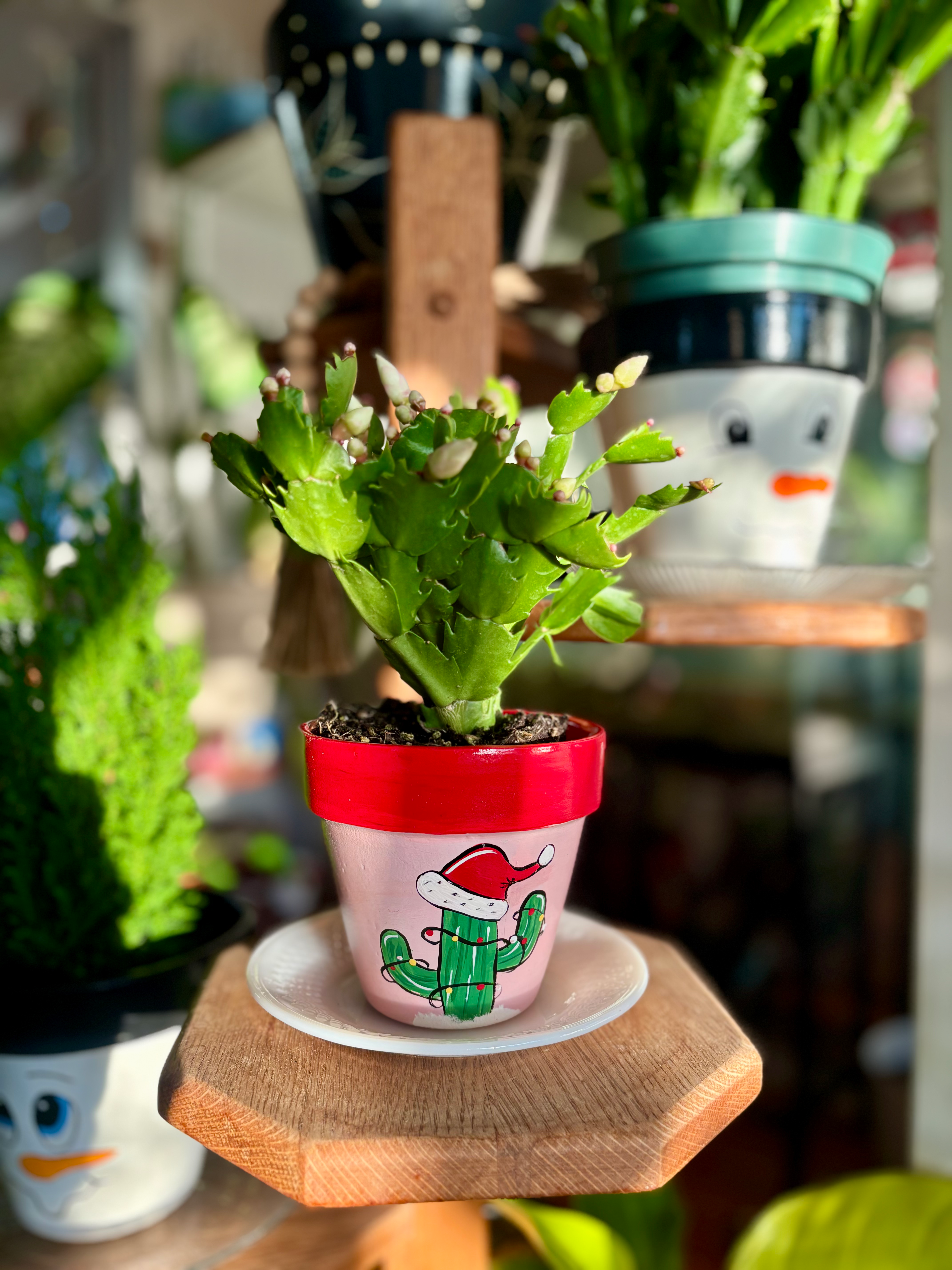Santa Cactus Planter