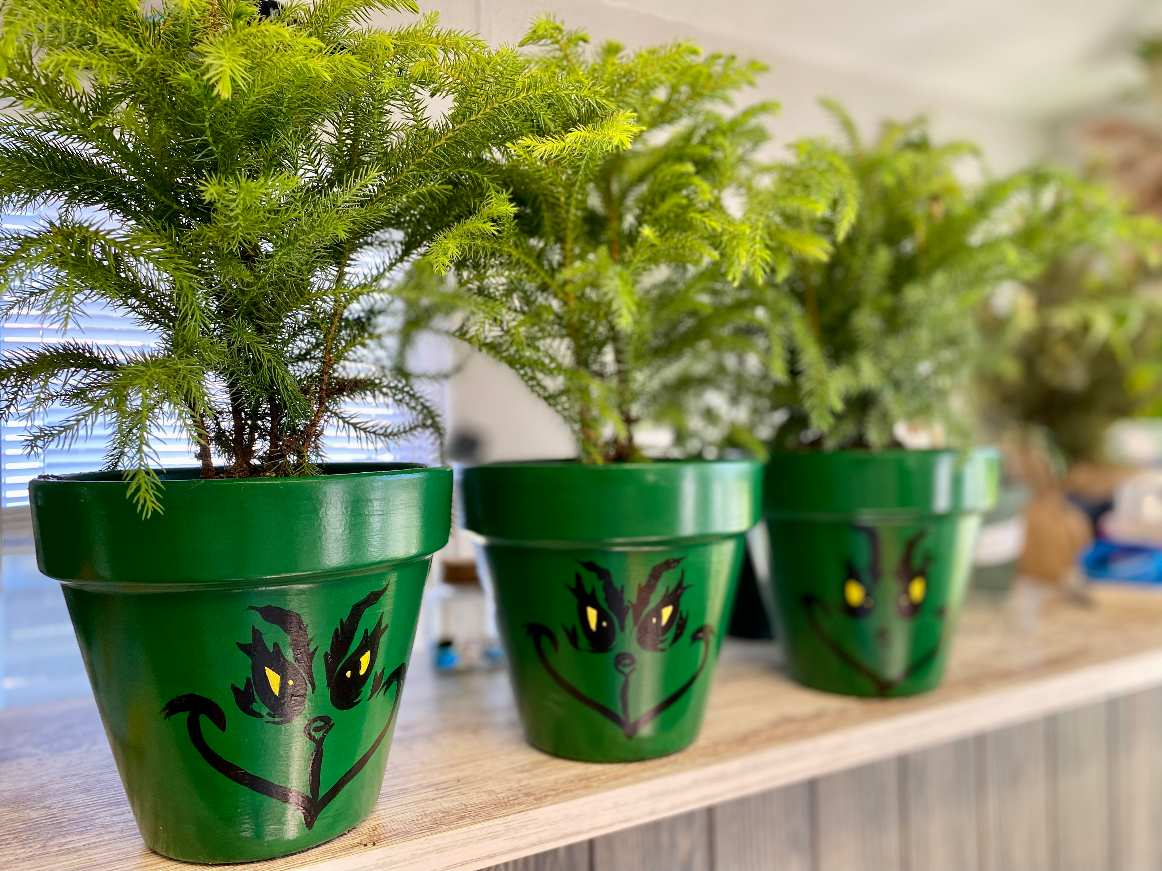 Grinch Planter