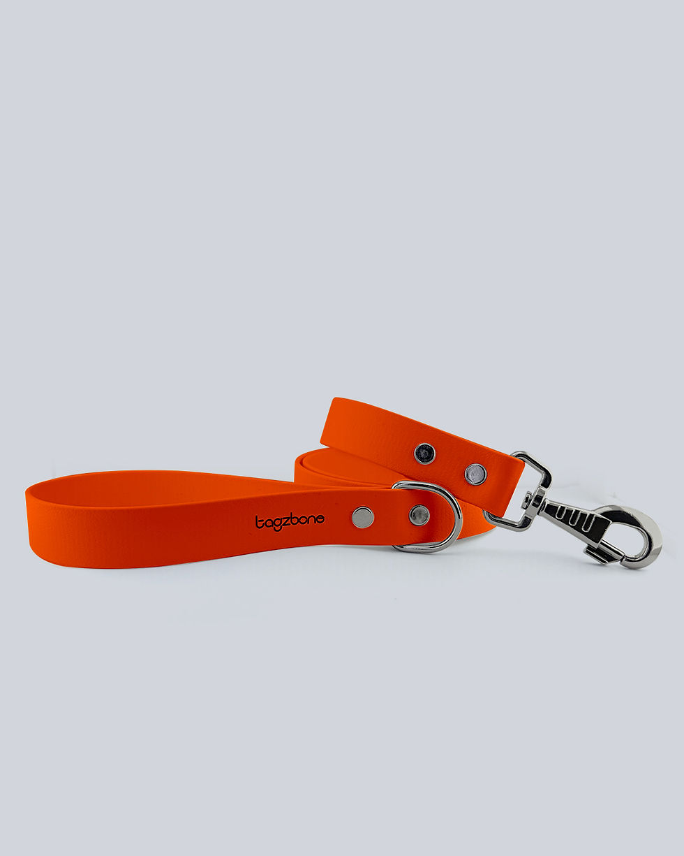Küçük resim: Orange Gezdirme Kayışı