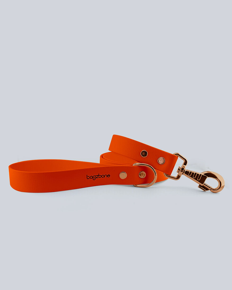 Küçük resim: Orange Gezdirme Kayışı
