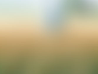 Humanoid In The Tall Grass