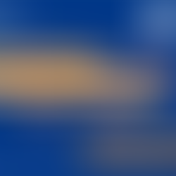 Participación en el 1er Congreso de Jóvenes Profesionales de la IAHR (2020)