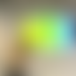 Lanzamiento de RAS INSIGHT 2° Edición