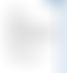 Mención honorífica