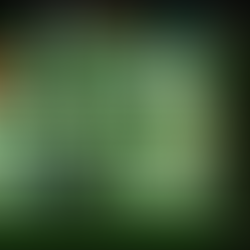 Charla Raylib 2025: Entrevista a Ramón Santamaría, creador de la librería de videojuegos Raylib