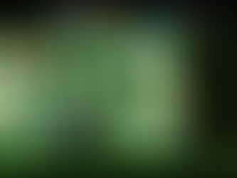 Charla Raylib 2025: Entrevista a Ramón Santamaría, creador de la librería de videojuegos Raylib