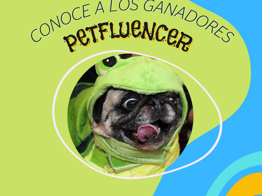 ¡Felicitamos a los Ganadores del Concurso Petfluencer!