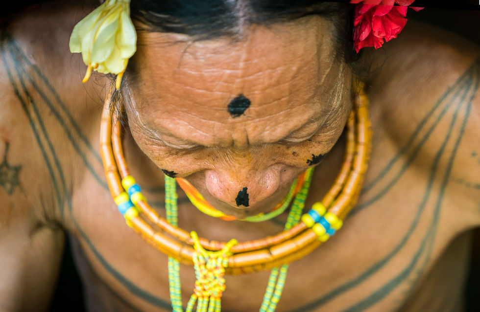 Copyright Marinus Van Breugel