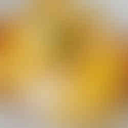 Saison été tulipe exotique brunch