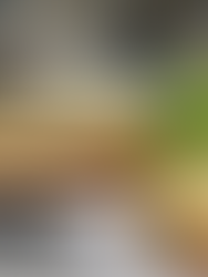 Croque Monsieur Lyon 1