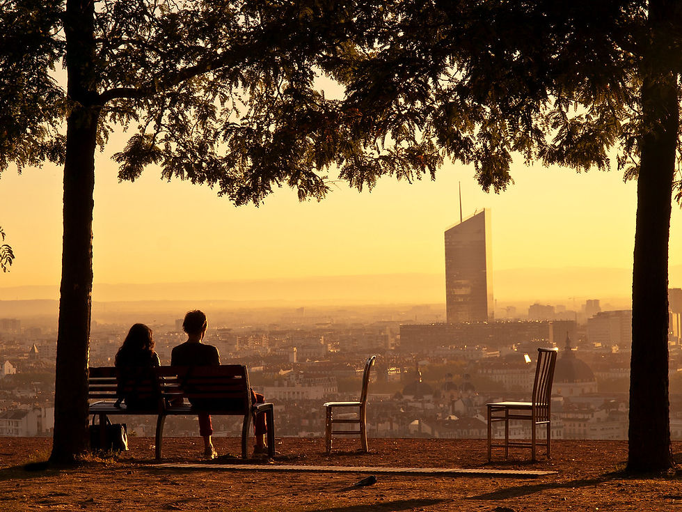 Photo d'une vue depuis le jardin des curiosités à Lyon