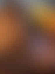 Gâteau aux fruits Lyon