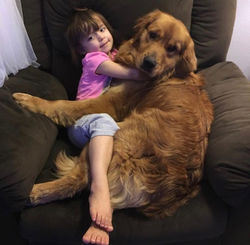 CB655B23-EF83-405A-81DE-1B60EA19D0A5