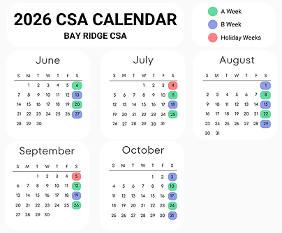 Main Season 2026 Bay Ridge FINAL_web.png