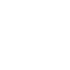secure-icon