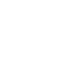chip-icon