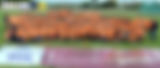 18058121_1441327462585137_6362686853032926655_n.jpg