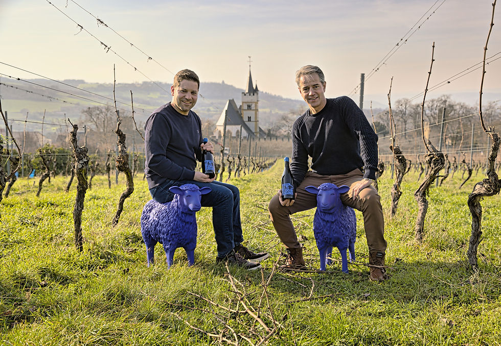 Fotocredit: Das Blaue Schaf