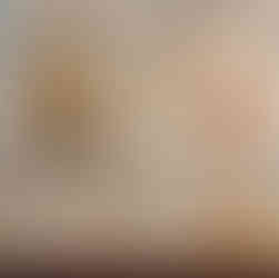 Papier peint décoratif à motifs marins et floraux dans un bureau à Paris, détail de rénovation intérieure