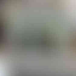 Façade d’un ancien commerce avec vitrines couvertes et devanture verte avant transformation