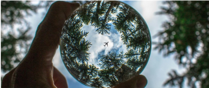 AIBioStem, un projet éducatif pour adresser les challenges de la biodiversité