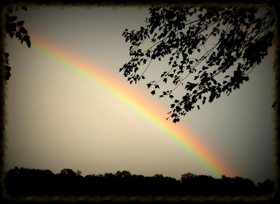 More rain more rainbows