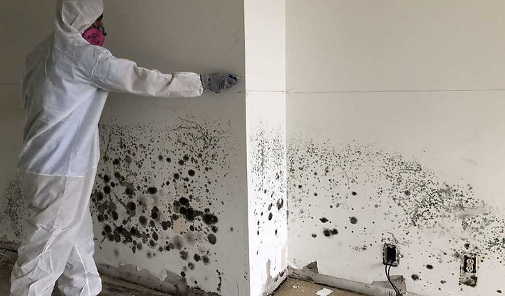 NRE-Mold-1200x675.jpg