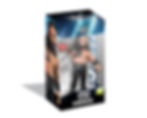 Figurine WWE Roman Reigns Minix avec boîte de collection – figurines Roman Reign et WWE figurines