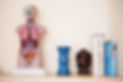 1JuliaWilsonOffice-byJennMorse-untitled-