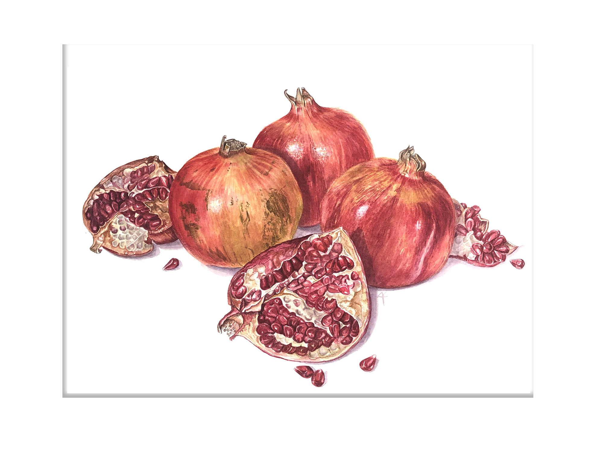 Autumn Pomegranates