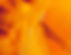 leadimage.jpg