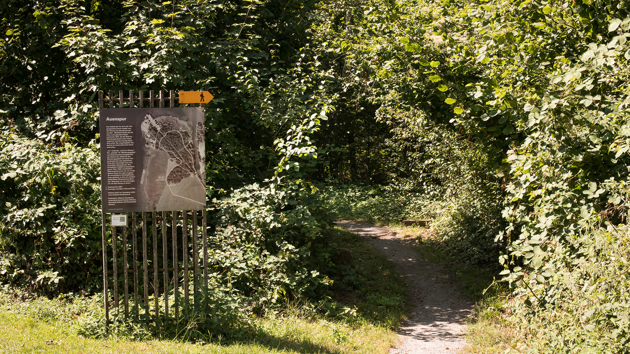 Die Auenspur in Steinen entdecken